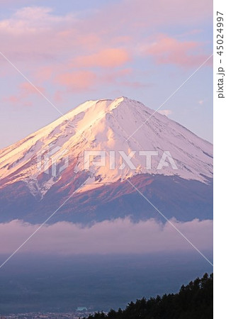 白く冠雪した富士山の山の表情 45024997