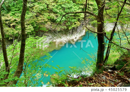 エメラルドグリーンの抱返り渓谷の渓流 45025579