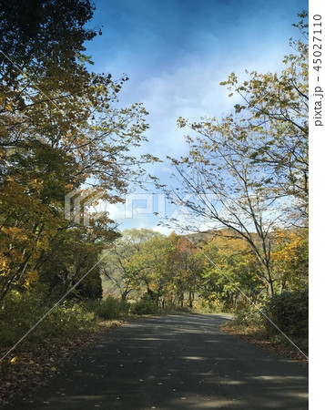 秋の風景 45027110