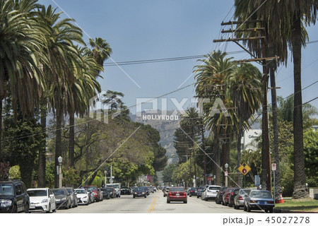 ハリウッド 45027278
