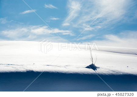 雪原と青空 45027320
