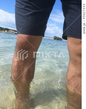 気分だけでも南国 気分だけでも南国 45027333