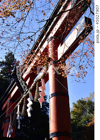 愛宕神社　一の鳥居 45027907