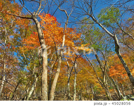 明神平 明神平 45028056