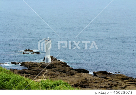城ケ島公園 45028073
