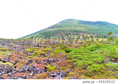北八ヶ岳 坪庭 北八ヶ岳 坪庭 45028532