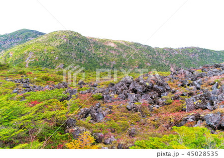 北八ヶ岳　坪庭 45028535