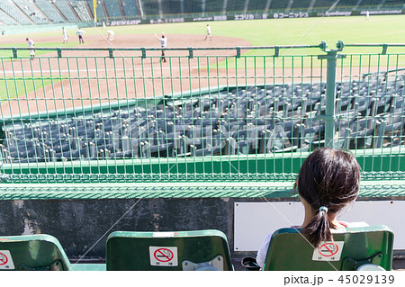 野球観戦　球場　野球場 45029139