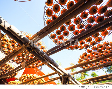 柿 空気乾燥の写真 45029237