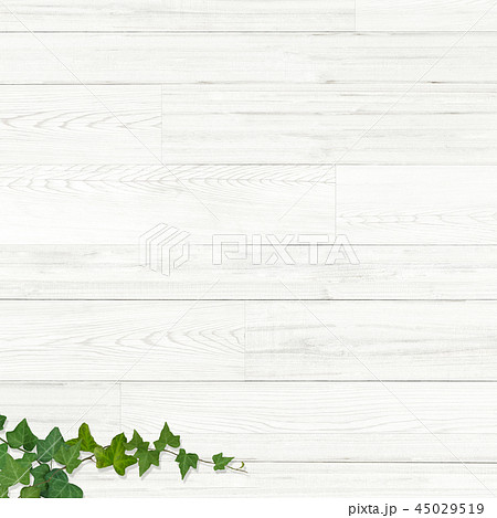 背景 板 木目 壁 蔦 葉のイラスト素材