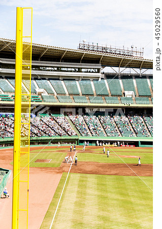 野球場　野球観戦 45029560