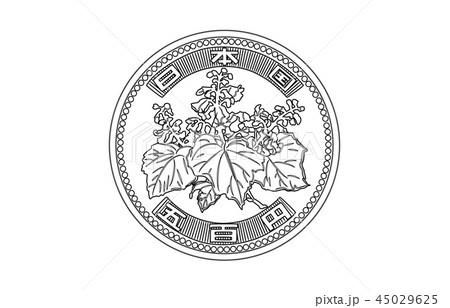 日本円五百円硬貨線表 日本円五百円硬貨線表 45029625