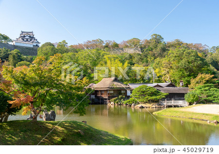 玄宮園と彦根城の天守閣 玄宮園と彦根城の天守閣 45029719