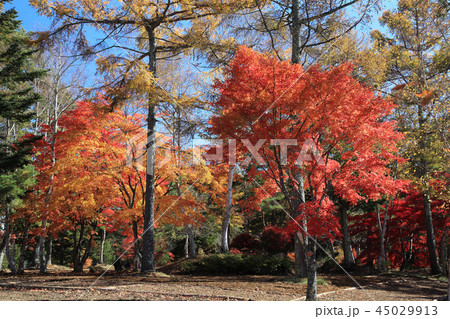 横谷渓谷 紅葉の写真素材