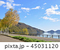 支笏湖　秋 45031120