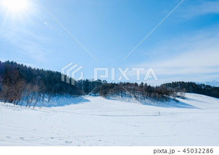 冬の中山高原 45032286