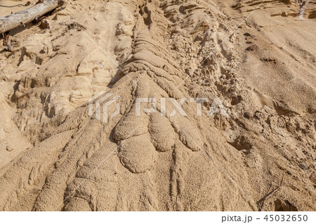 Sand texture after rain 45032650