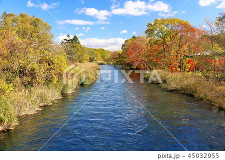 北海道　青空の紅葉と千歳川 45032955