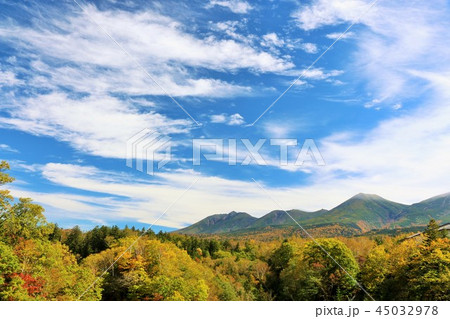 北海道　秋晴れの青空と山の紅葉風景 45032978