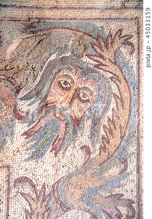 Ancient natural stone tile mosaics, Madaba, Jordan 45033159
