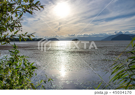 琵琶湖畔 湖北の午後 琵琶湖畔 湖北の午後 45034170