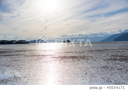 琵琶湖畔 湖北の午後 琵琶湖畔 湖北の午後 45034171