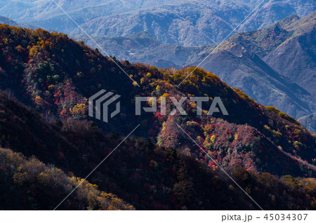 山の紅葉 朝の陽が射す赤倉山西斜面の紅葉と背後の山襞 日光 半月山駐車場展望台から b やや引き 山の紅葉 朝の陽が射す赤倉山西斜面の紅葉と背後の山襞 日光 半月山駐車場展望台から b やや引き 45034307