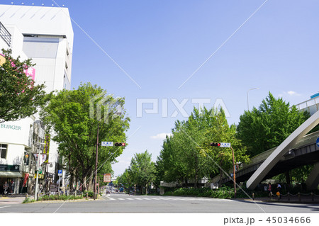 名古屋市中区栄 都市風景 若宮大通 矢場町交差点 100m道路 名古屋市中区栄 都市風景 若宮大通 矢場町交差点 100m道路 45034666
