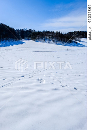 冬の中山高原 45035366