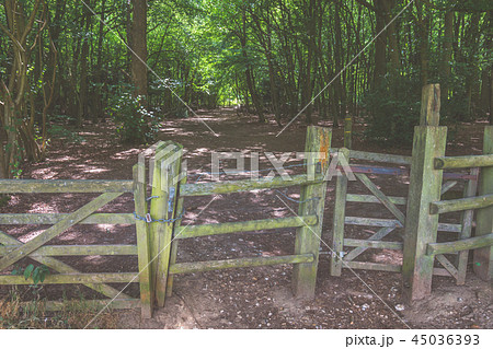 Wooden entry gates to the Banstead woods Wooden entry gates to the Banstead woods 45036393
