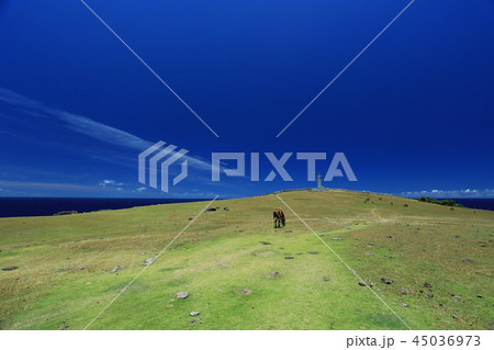 与那国島の東崎と与那国馬 45036973