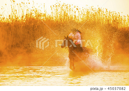 女性 女 女の子 45037082