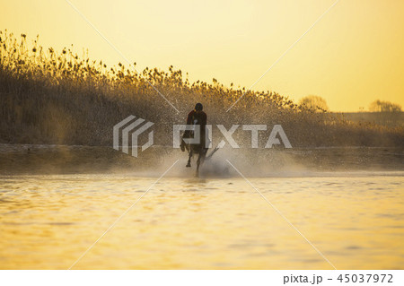 冬 人 人間 45037972