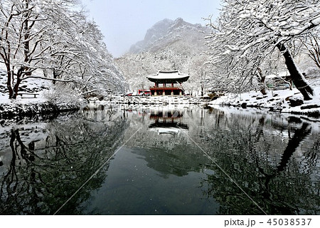 地域 冬の風景 反射 45038537