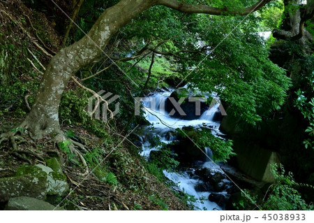 大山山系の渓谷 大山山系の渓谷 45038933