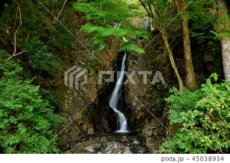 丹沢大山二重の滝 丹沢大山二重の滝 45038934
