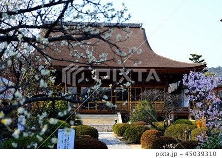 龍福寺 龍福寺 45039310