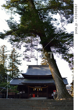 八坂神社 45040087