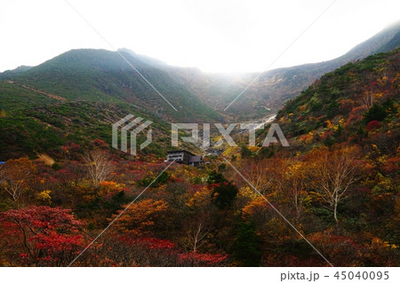 安達太良山　くろがね小屋付近と紅葉 45040095