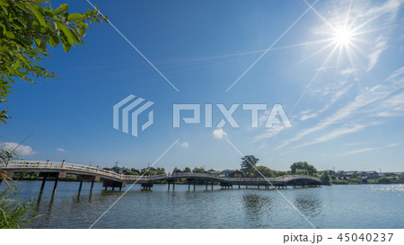 乙女が池 45040237