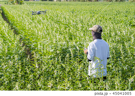 農家 農夫 農民 45041005