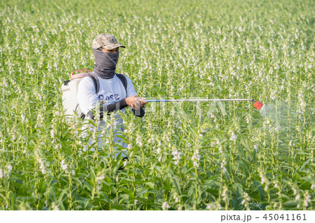 農薬 殺虫剤 虫除け 45041161