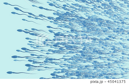 Sperm cells or spermatozoon moving to the left 45041375