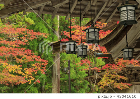 高野山 紅葉 高野山 紅葉 45041610