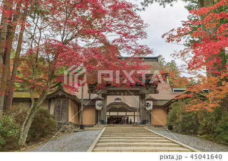 高野山　紅葉 45041640