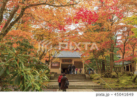 高野山　紅葉 45041649