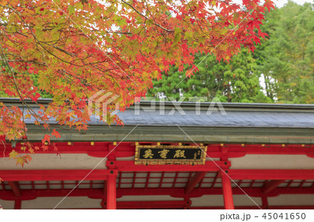 高野山　紅葉 45041650