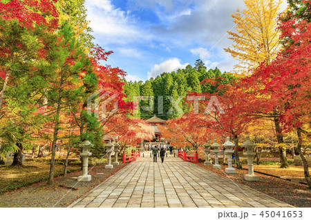 高野山 紅葉 高野山 紅葉 45041653
