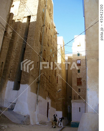 イエメン シバーム イエメン シバーム 45042200