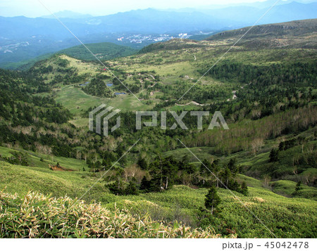 白根山 45042478